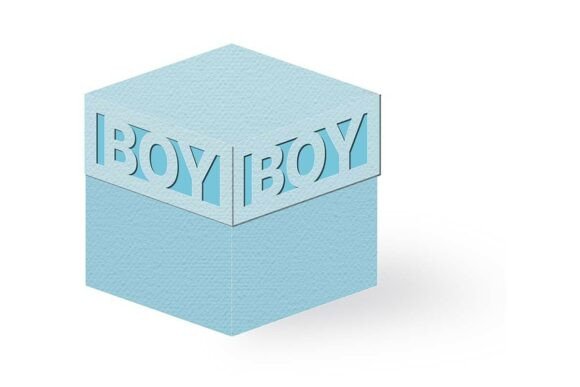 Elevating Celebrations with the Baby Boy Word Cut Out Lid Cube Favor Box