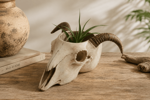 Goat Skull Succulent Planter: Dark Decor Guide
